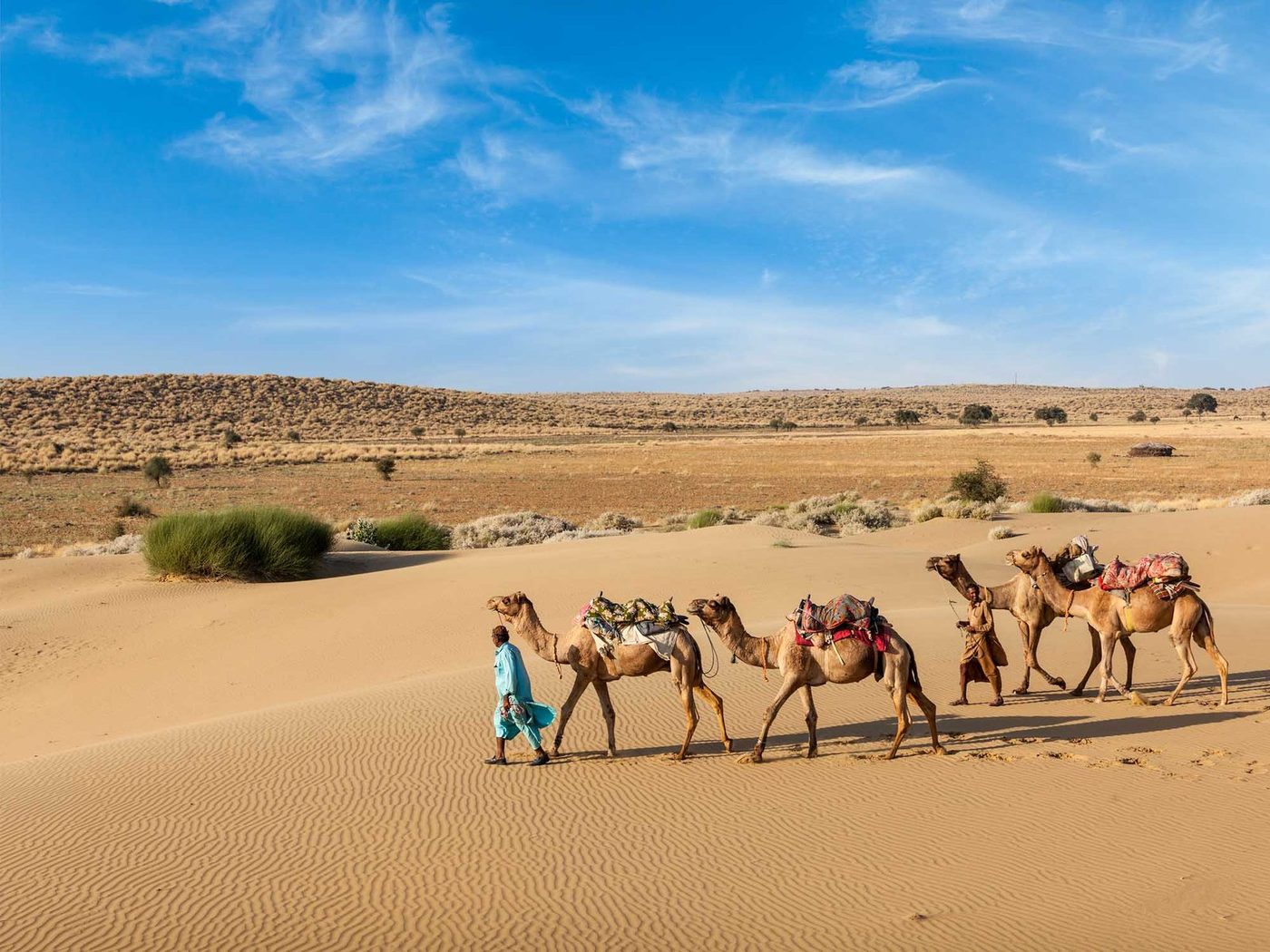 Camel safari on the Sam Sand Dunes, Jaisalmer
